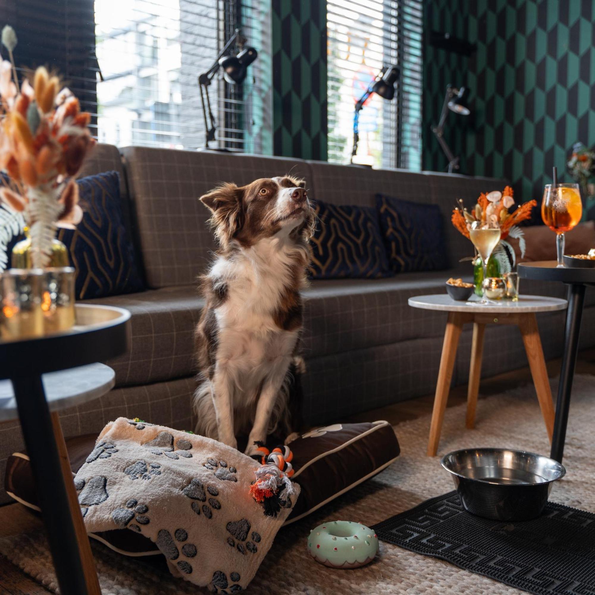 Ibis Styles Hasselt City Centre Екстериор снимка